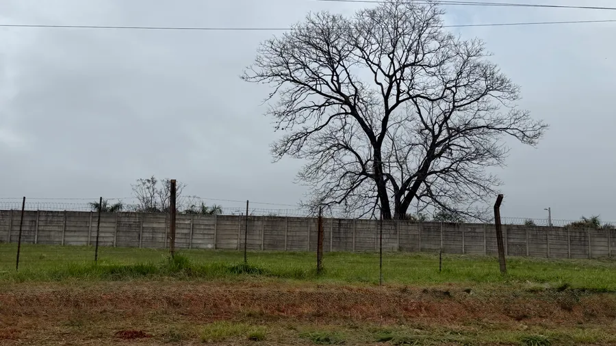 Zona Comercial del Barrio Cerrado Las Palmeras 6
